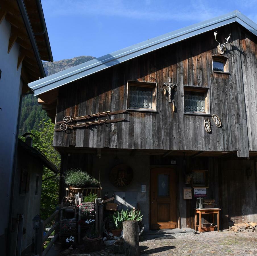 Cianbolpin Guesthouse 卡纳泽伊 外观 照片