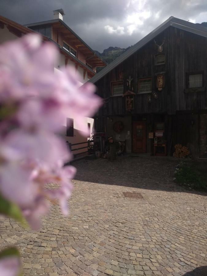 Cianbolpin Guesthouse 卡纳泽伊 外观 照片