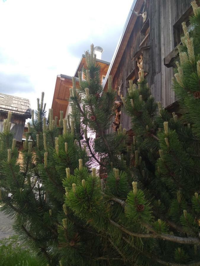 Cianbolpin Guesthouse 卡纳泽伊 外观 照片