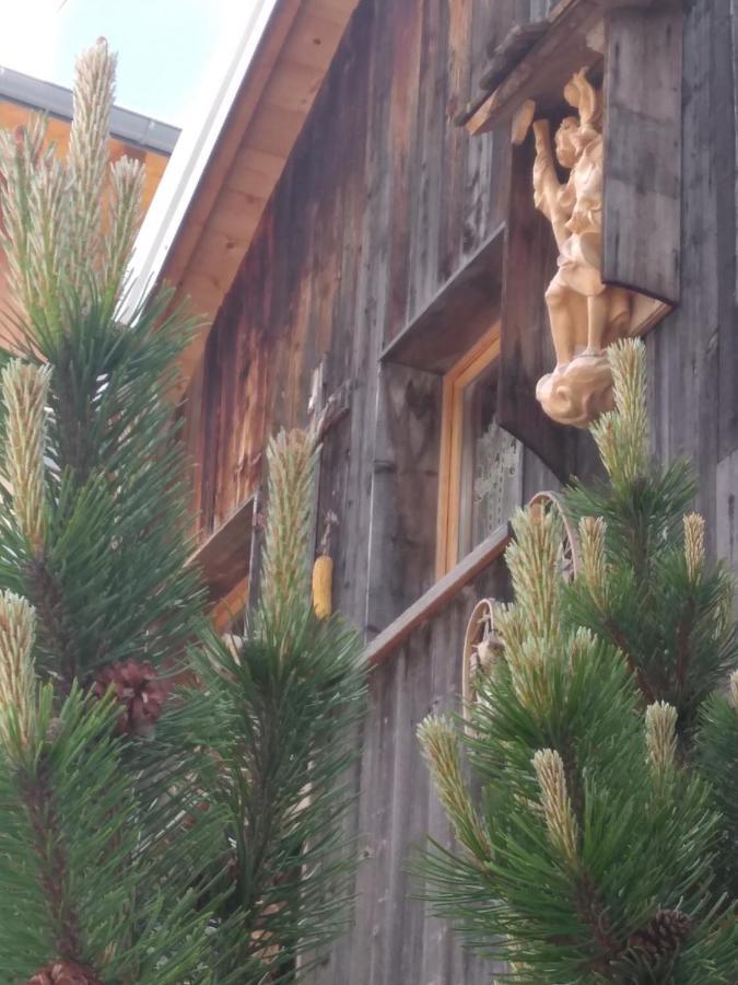 Cianbolpin Guesthouse 卡纳泽伊 外观 照片