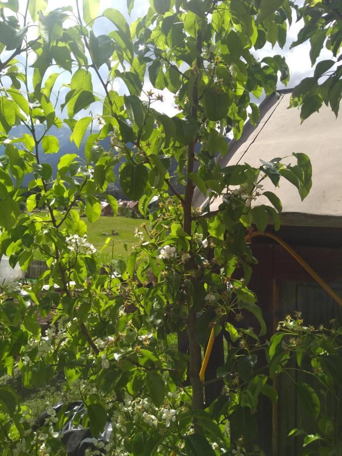 Cianbolpin Guesthouse 卡纳泽伊 外观 照片